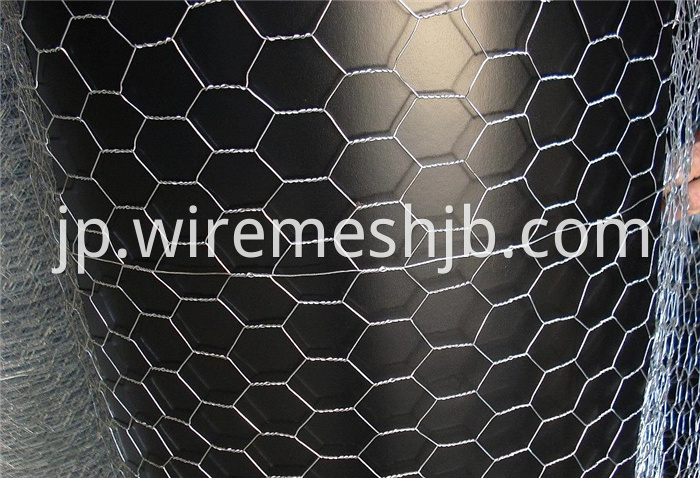 1'' Hexagonal Wire Netting